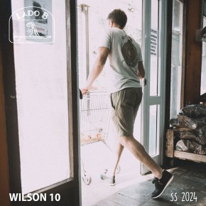 Wilson 10