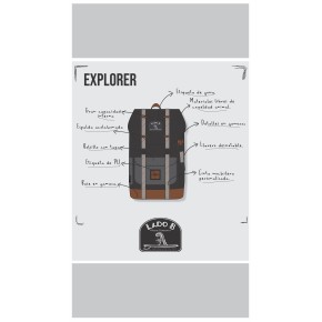 Explorer 21